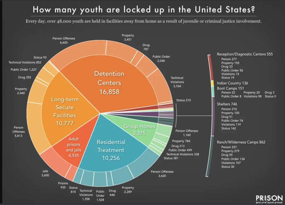 US Youth Incarceration Pie Chart
