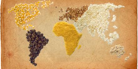 World map made with seeds